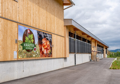 Der neue Betrieb der Familie Zysset bietet den Kräuterschweinen eine moderne und angenehme Umgebung