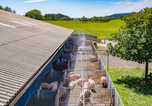 Die feuchte Abkühlung im Aussenbereich ist eine grosse Hilfe bei höheren Temperaturen